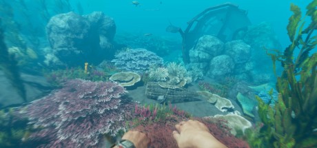 Stranded Deep US XBOX One CD Key