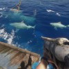 Stranded Deep US XBOX One CD Key