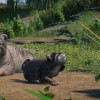 Planet Zoo - Zookeepers Animal Pack DLC PC Steam CD Key
