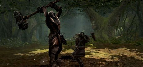 Lord of the Rings: War in the North PC Steam CD Key