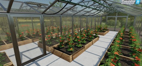 Farming Simulator 22: Premium Edition PC Steam CD Key