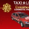 Taxi Life: A City Driving Simulator - Christmas Cosmetic Pack DLC PC Steam CD Key Taxi Life: A City Driving Simulator - Christmas Cosmetic Pack DLC PC Steam CD Key
