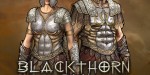 Blackthorn Arena: Reforged - Supporter Pack DLC PC Steam CD Key