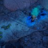 Empires of the Undergrowth - Exploding Ants DLC EU PC Steam CD Key Empires of the Undergrowth - Exploding Ants DLC EU PC Steam CD Key