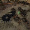 Empires of the Undergrowth - Exploding Ants DLC EU PC Steam CD Key Empires of the Undergrowth - Exploding Ants DLC EU PC Steam CD Key