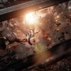 Hatred EU Steam CD Key