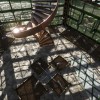 ARK: Survival Evolved EU Nintendo Switch CD Key  ARK: Survival Evolved EU Nintendo Switch CD Key