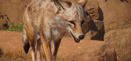 Planet Zoo - Americas Animal Pack DLC EU PC Steam CD Key Planet Zoo - Americas Animal Pack DLC EU PC Steam CD Key