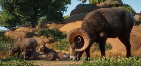 Planet Zoo - Americas Animal Pack DLC PC Steam CD Key Planet Zoo - Americas Animal Pack DLC PC Steam CD Key