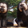 Planet Zoo - Americas Animal Pack DLC PC Steam CD Key Planet Zoo - Americas Animal Pack DLC PC Steam CD Key