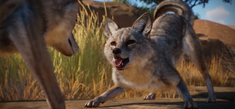 Planet Zoo - Americas Animal Pack DLC PC Steam CD Key Planet Zoo - Americas Animal Pack DLC PC Steam CD Key