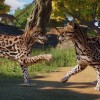 Planet Zoo - Americas Animal Pack DLC PC Steam CD Key Planet Zoo - Americas Animal Pack DLC PC Steam CD Key