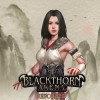 Blackthorn Arena: Reforged - Shadow of Wuxia DLC PC Steam CD Key
