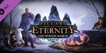 Pillars of Eternity: Hero Edition + The White March (Part 1) Steam CD Key