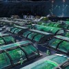 Anno 2205 EU Ubisoft Connect CD Key Anno 2205 EU Ubisoft Connect CD Key
