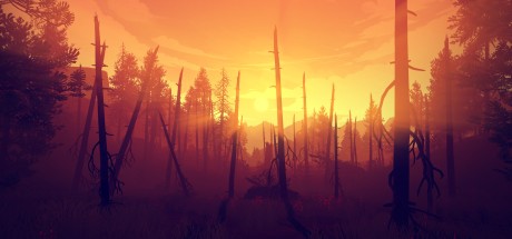 Firewatch GOG CD Key Firewatch GOG CD Key