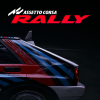 Assetto Corsa Rally EU PC Steam CD Key