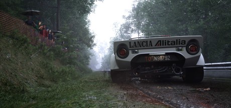 Assetto Corsa Rally PC Steam CD Key