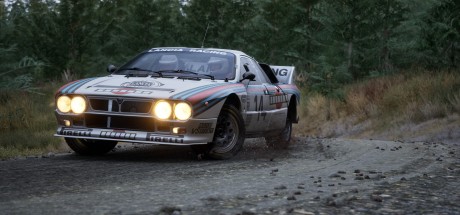 Assetto Corsa Rally PC Steam CD Key