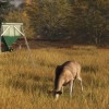 theHunter: Call of the Wild - Game Feeder Pack DLC PC Steam CD Key theHunter: Call of the Wild - Game Feeder Pack DLC PC Steam CD Key