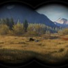 theHunter: Call of the Wild - Game Feeder Pack DLC PC Steam CD Key theHunter: Call of the Wild - Game Feeder Pack DLC PC Steam CD Key