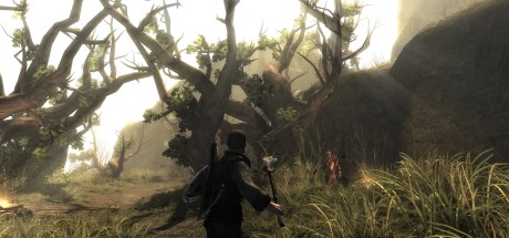 Risen 2: Dark Waters GOG CD Key Risen 2: Dark Waters GOG CD Key