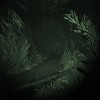 Outlast 2 PC GOG CD Key