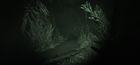 Outlast 2 PC GOG CD Key Outlast 2 PC GOG CD Key