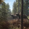 theHunter: Call of the Wild Ultimate Hunting Bundle PC Steam CD Key