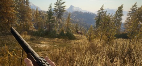 theHunter: Call of the Wild Ultimate Hunting Bundle PC Steam CD Key