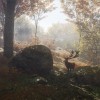 theHunter: Call of the Wild Ultimate Hunting Bundle PC Steam CD Key