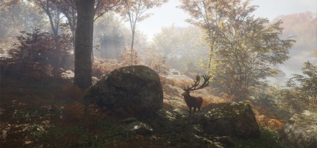 theHunter: Call of the Wild Ultimate Hunting Bundle PC Steam CD Key