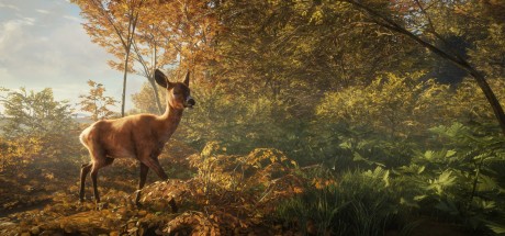 theHunter: Call of the Wild Ultimate Hunting Bundle PC Steam CD Key