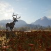 theHunter: Call of the Wild Ultimate Hunting Bundle PC Steam CD Key