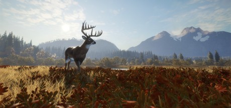 theHunter: Call of the Wild Ultimate Hunting Bundle PC Steam CD Key