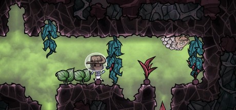 Oxygen Not Included PC Steam CD Key Oxygen Not Included PC Steam CD Key