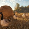 theHunter: Call of the Wild - Hunting Starter Pack Bundle PC Steam CD Key theHunter: Call of the Wild - Hunting Starter Pack Bundle PC Steam CD Key
