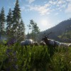 theHunter: Call of the Wild - Hunting Starter Pack Bundle PC Steam CD Key theHunter: Call of the Wild - Hunting Starter Pack Bundle PC Steam CD Key