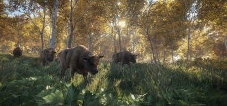 theHunter: Call of the Wild - Hunting Starter Pack Bundle PC Steam CD Key theHunter: Call of the Wild - Hunting Starter Pack Bundle PC Steam CD Key