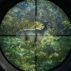 theHunter: Call of the Wild - Hunting Starter Pack Bundle PC Steam CD Key theHunter: Call of the Wild - Hunting Starter Pack Bundle PC Steam CD Key