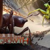 Empires of the Undergrowth PC Steam CD Key Empires of the Undergrowth PC Steam CD Key