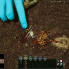 Empires of the Undergrowth PC Steam CD Key Empires of the Undergrowth PC Steam CD Key
