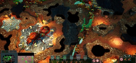 Empires of the Undergrowth PC Steam CD Key Empires of the Undergrowth PC Steam CD Key