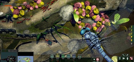 Empires of the Undergrowth PC Steam CD Key Empires of the Undergrowth PC Steam CD Key