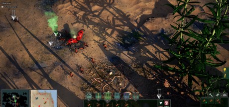 Empires of the Undergrowth PC Steam CD Key Empires of the Undergrowth PC Steam CD Key