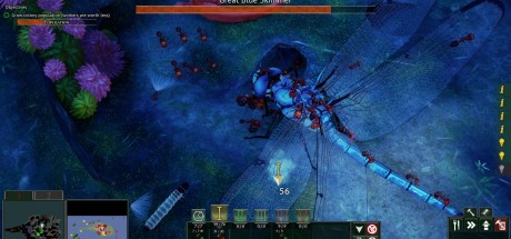 Empires of the Undergrowth PC Steam CD Key Empires of the Undergrowth PC Steam CD Key