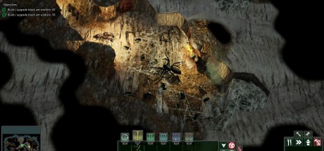 Empires of the Undergrowth PC Steam CD Key Empires of the Undergrowth PC Steam CD Key