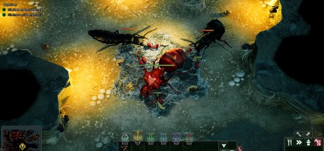 Empires of the Undergrowth PC Steam CD Key Empires of the Undergrowth PC Steam CD Key