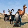 Goat Simulator + Waste of Space DLC PC Steam CD Key