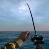 Ultimate Fishing Simulator Steam CD Key Ultimate Fishing Simulator Steam CD Key